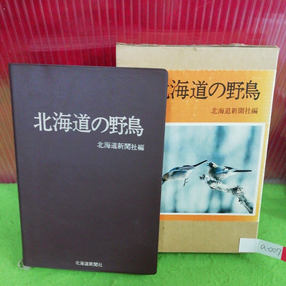 Hawaii's Beautiful Birds ハワイの鳥 写真集 英語 洋書 鳥 Hawaii's Beautiful Birds ハワイの鳥 写真集 英語 洋書 鳥