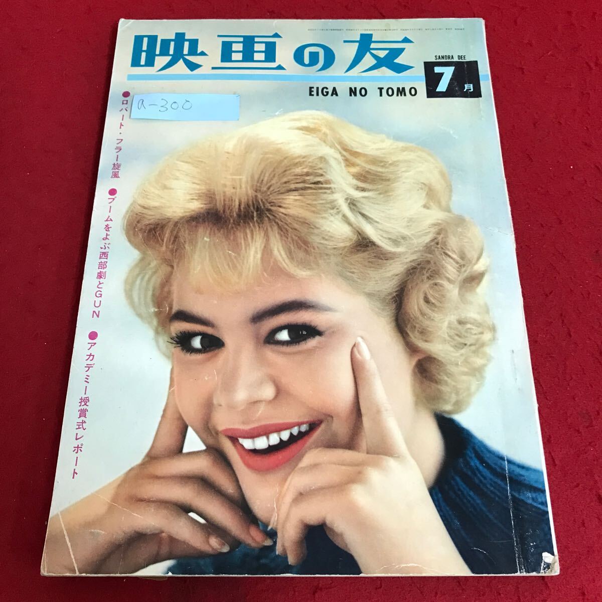 大特価放出! 日本カヤツリグサ科植物図譜/星野卓二,正木智美 大特価放出! 日本カヤツリグサ科植物図譜/星野卓二,正木智美