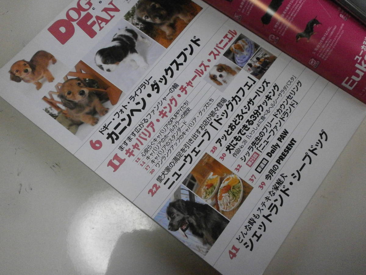 DOG FAN ドッグファン 2003年6月号 キャバリア ダックスフンド ボクサー ボルゾイ バーニーズマウンテンドッグ 柴犬 ケアーンテリア チワワ_画像2