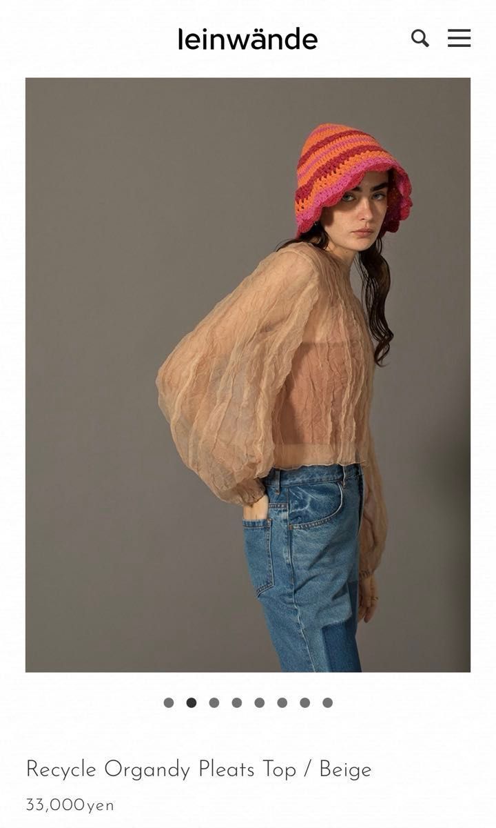 leinwande/Recycle Organdy Pleats Top/オーガンジートップス leinwande/Recycle Organdy Pleats Top/オーガンジートップス