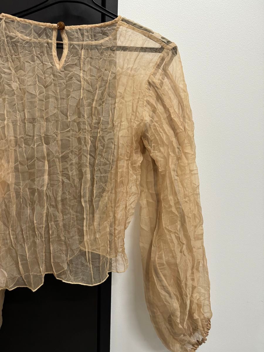 leinwande/Recycle Organdy Pleats Top/オーガンジートップス leinwande/Recycle Organdy Pleats Top/オーガンジートップス