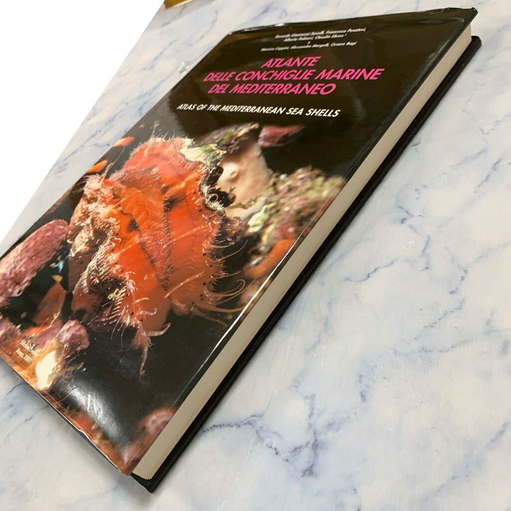 H030 地中海の貝殻のアトラス Vol.Ⅶ 二枚貝(Protobranchia-翼形類)ATLANTE DELLE CONCHIGLIE MARINE DEL MEDITERRANEO 中古 貝類学 図版 - 生物学 H030 地中海の貝殻のアトラス Vol.Ⅶ 二枚貝(Protobranchia-翼形類)ATLANTE DELLE CONCHIGLIE MARINE DEL MEDITERRANEO 中古 貝類学 図版 - 生物学