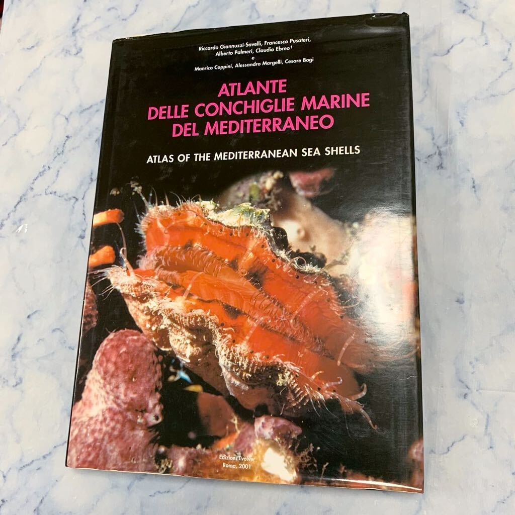 H030 地中海の貝殻のアトラス Vol.Ⅶ 二枚貝(Protobranchia-翼形類)ATLANTE DELLE CONCHIGLIE MARINE DEL MEDITERRANEO 中古 貝類学 図版 - 生物学 H030 地中海の貝殻のアトラス Vol.Ⅶ 二枚貝(Protobranchia-翼形類)ATLANTE DELLE CONCHIGLIE MARINE DEL MEDITERRANEO 中古 貝類学 図版 - 生物学