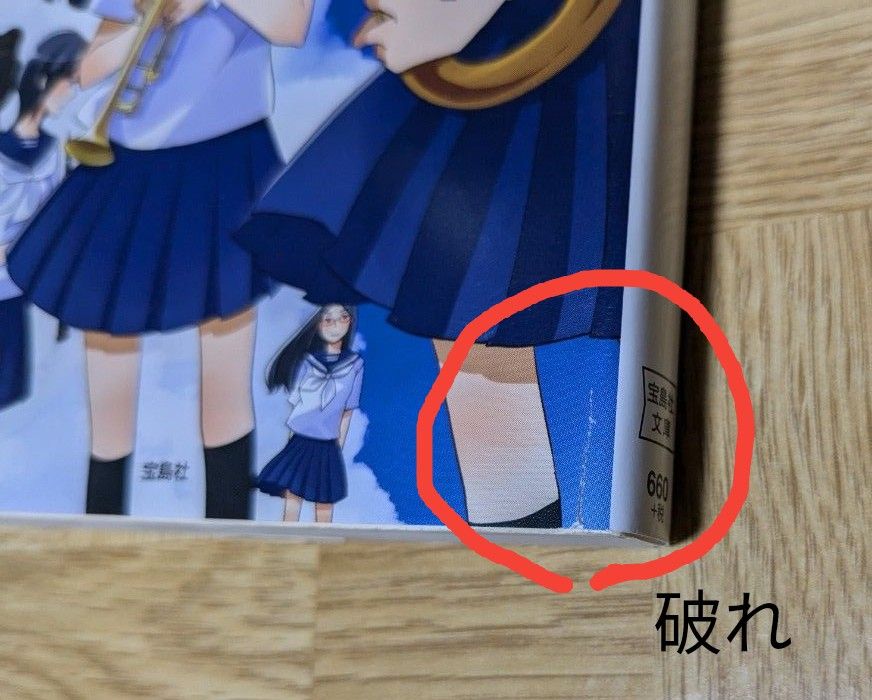 武田綾乃「響け ユーフォニアム」シリーズ12冊セット 宝島社文庫 武田綾乃「響け ユーフォニアム」シリーズ12冊セット 宝島社文庫