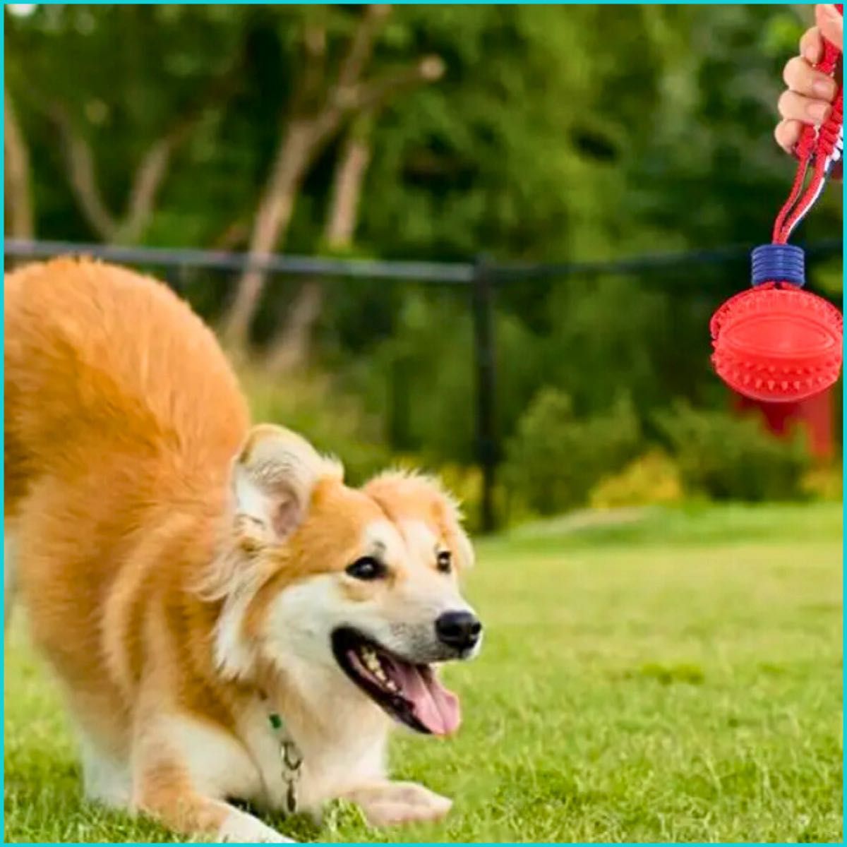 ロープ付きドッグボール　犬のおもちゃ　ボール　チューニングボール