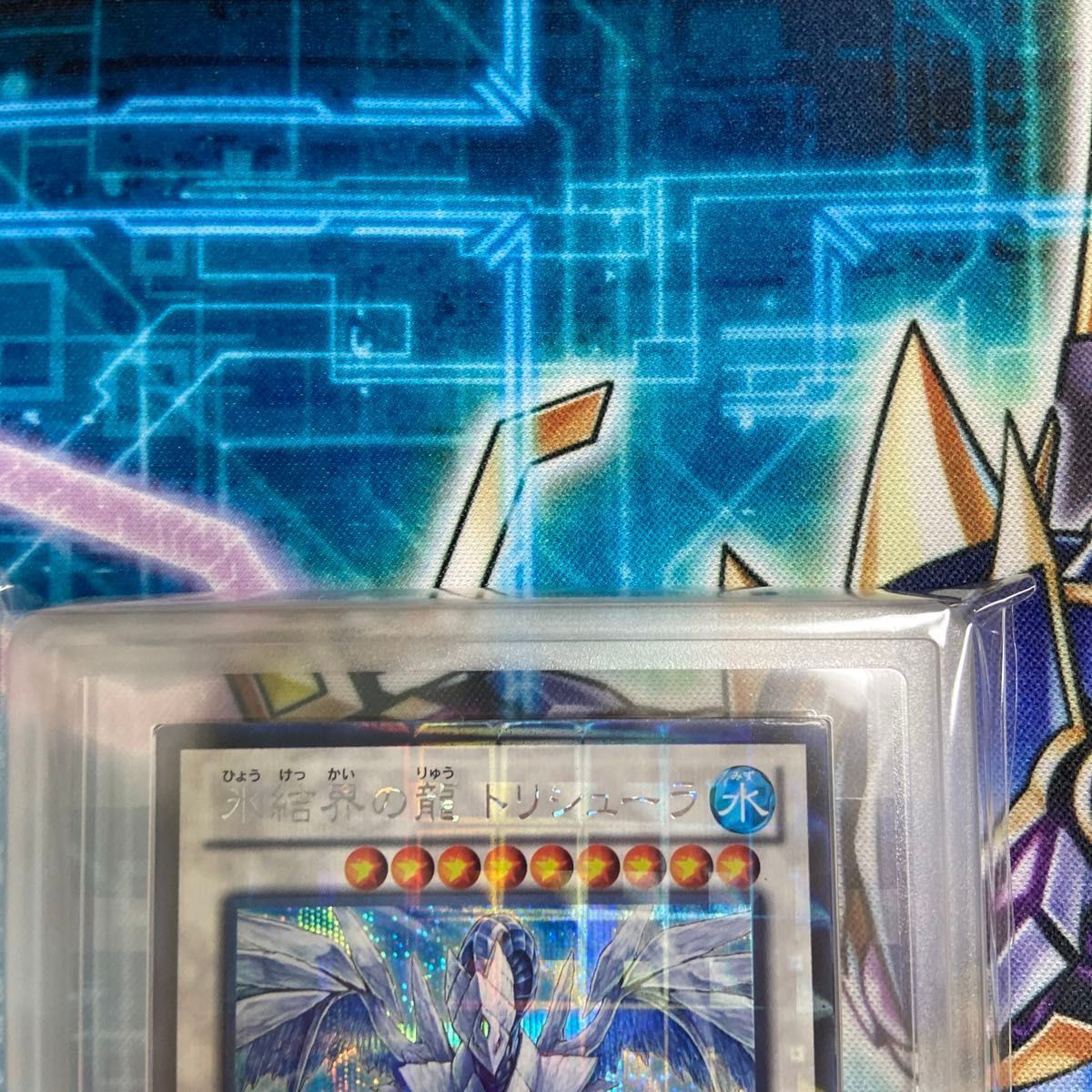 遊戯王 氷結界の龍トリシューラ シークレット DTC dtc3-jp060 遊戯王 氷結界の龍トリシューラ シークレット DTC dtc3-jp060