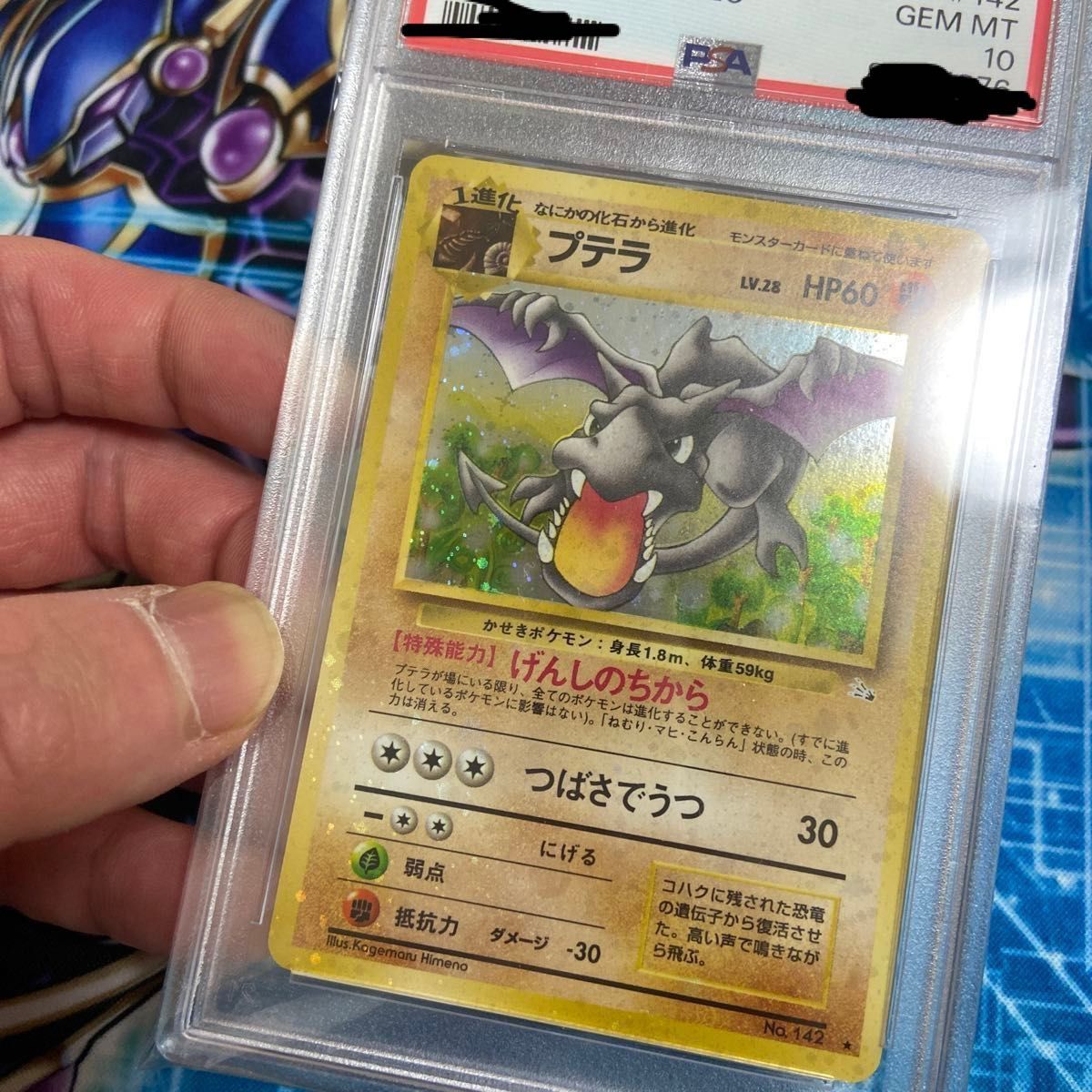 PSA10 ポケモンカードゲーム第三弾 拡張パック旧裏「プテラ PSA10 ポケモンカードゲーム第三弾 拡張パック旧裏「プテラ
