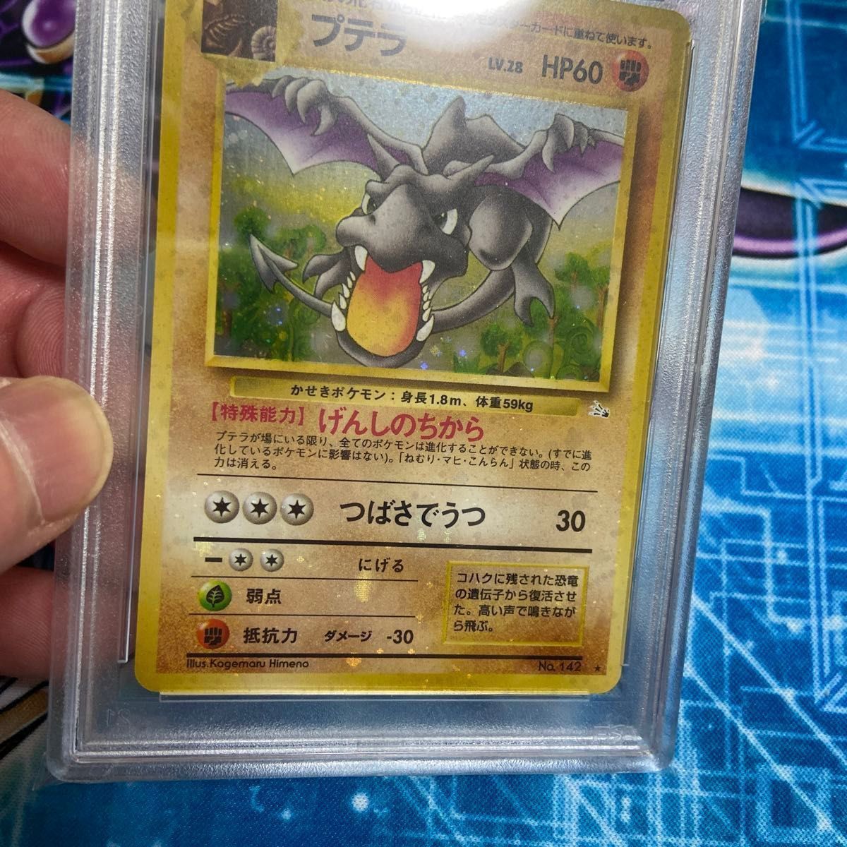 PSA10 ポケモンカードゲーム第三弾 拡張パック旧裏「プテラ PSA10 ポケモンカードゲーム第三弾 拡張パック旧裏「プテラ