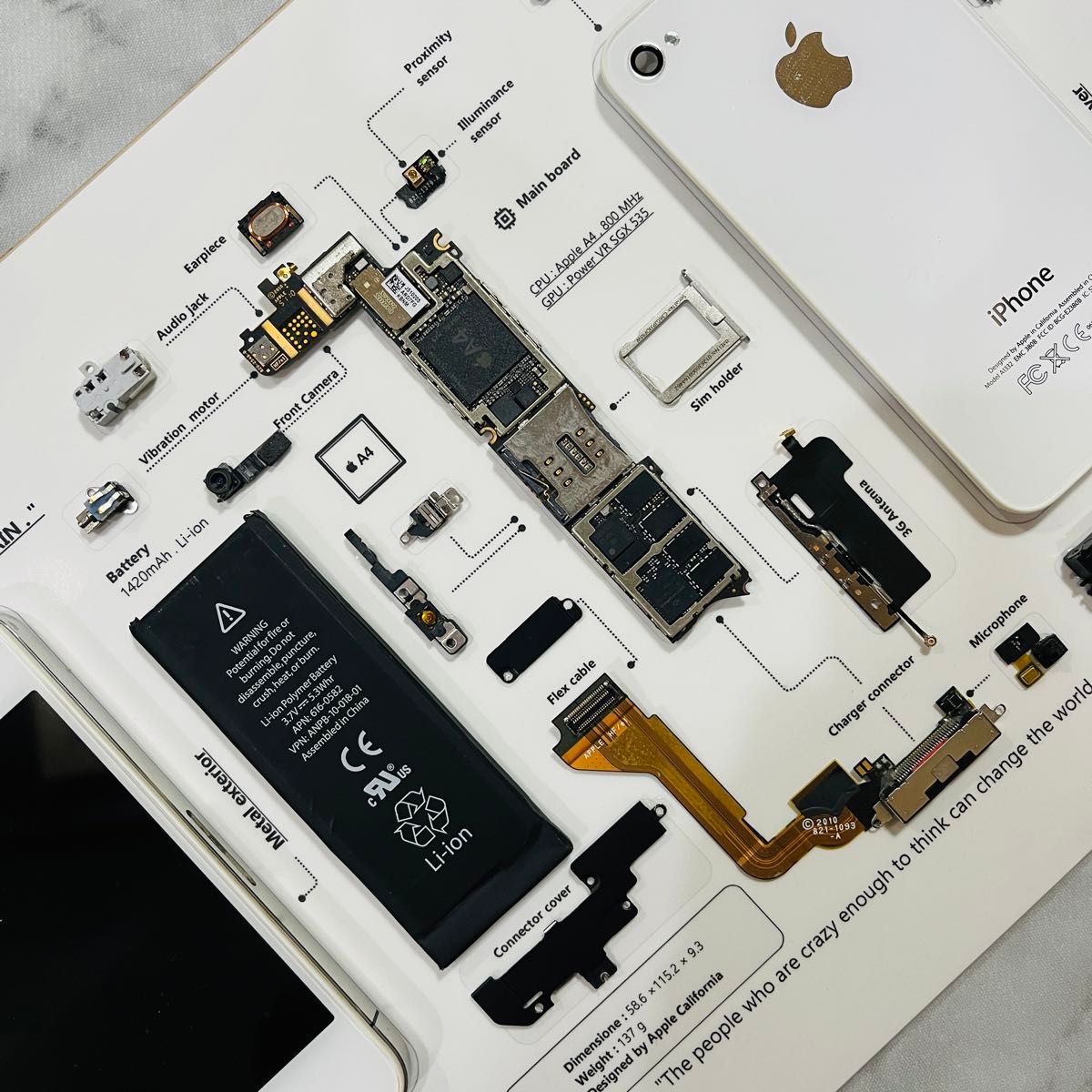 iPhone4 標本アート ホワイト iPhone4 標本アート ホワイト フレーム無】iPhone 4 White 標本