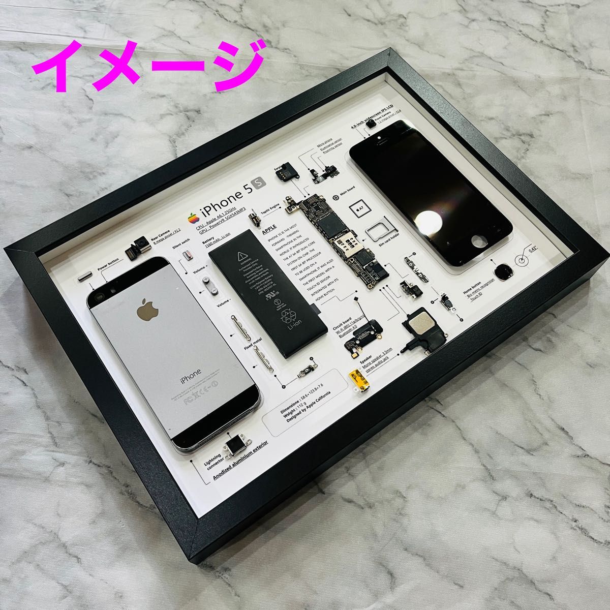 フレーム無】iPhone 5s Space Gray 標本アート (A4サイズ フレーム無】iPhone 5s Space Gray 標本アート (A4サイズ