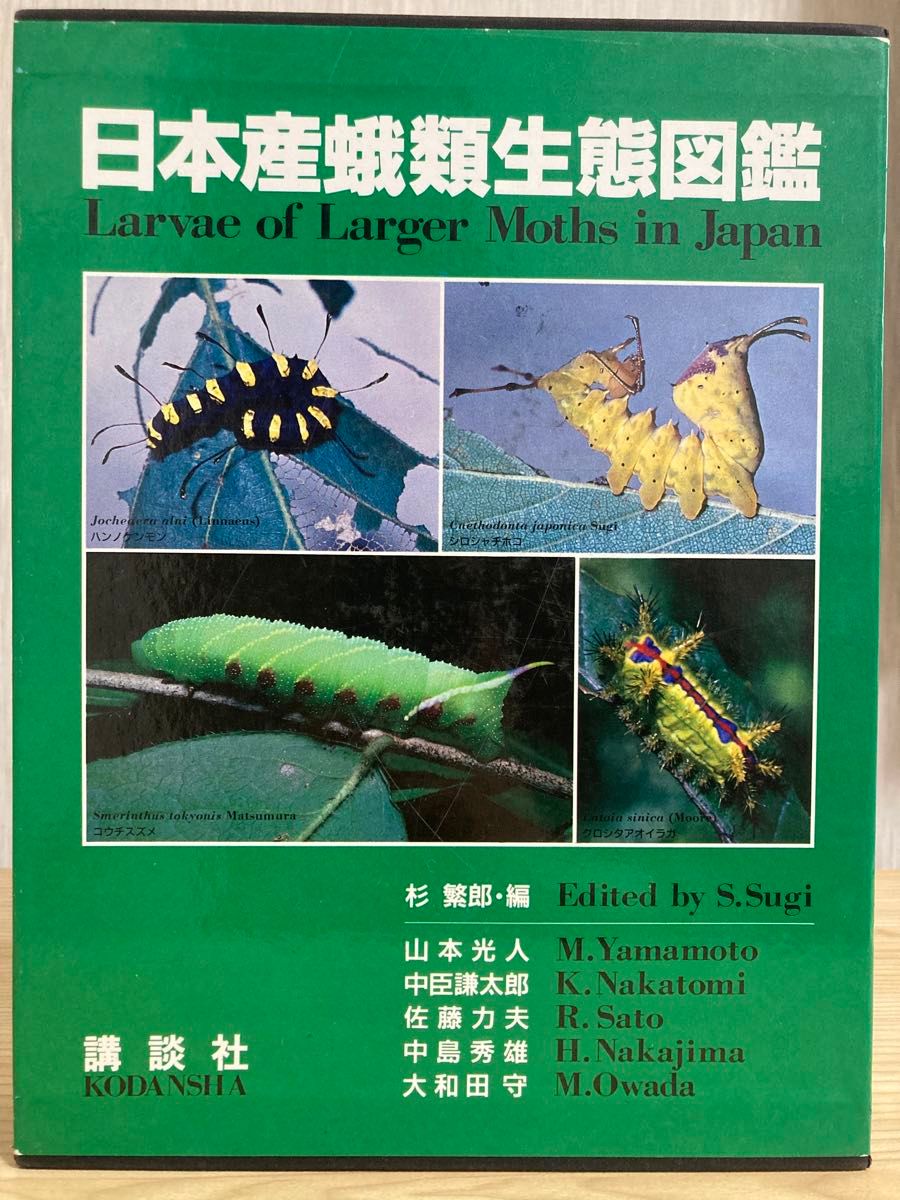 日本原色アブラムシ図鑑 日本原色アブラムシ図鑑 | 森津 孫四郎 |本 | 通販 | Amazon
