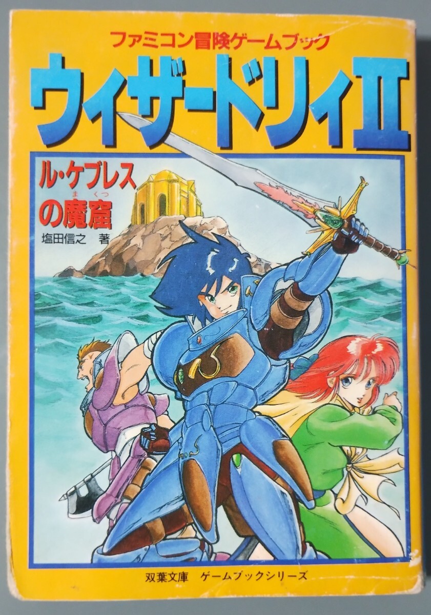 【第1位獲得!】 売れ筋商品 肉筆水彩画付『高野真美画集』限定80部 高野真美 その他