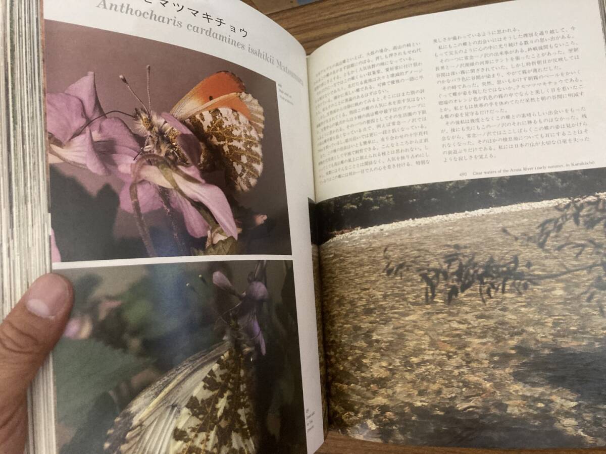日本アルプスの蝶 田淵行男 学研 昭和54年初版 自然科学と技術 日本アルプスの蝶 田淵行男 学研 昭和54年初版 自然科学と技術