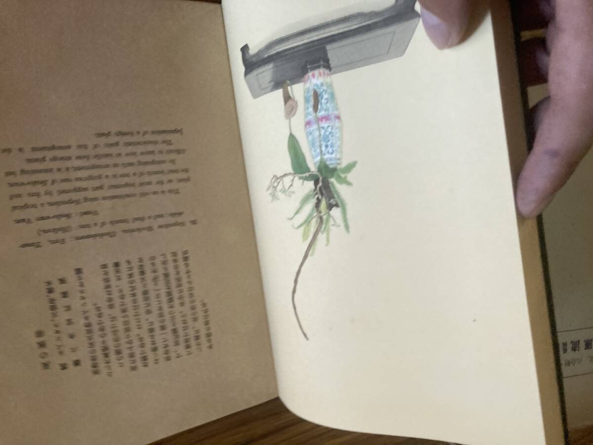【年中無休】 昭和10年 小原流盛花瓶花傑作選集/小原光雲 戦前 花 /Y上 レトロ フラワーアレンジメント