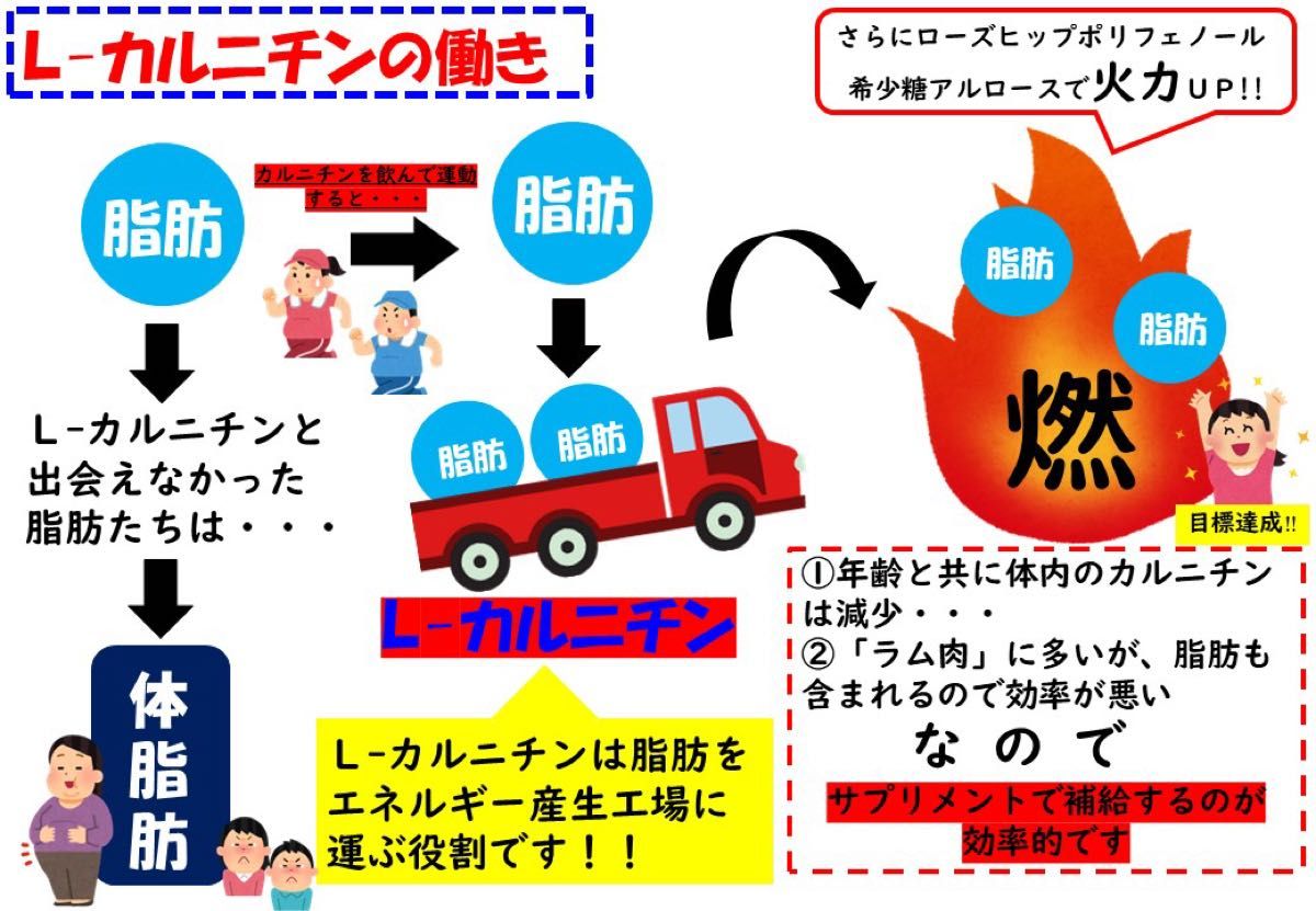 大特価)3箱まとめ売り L-カルニチン ダイエットゼリー 3種風味 大特価)3箱まとめ売り L-カルニチン ダイエットゼリー 3種風味