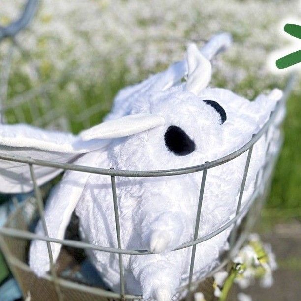 モスのいる日常 等身大 ぬいぐるみ カイコ系 モス|Yahoo!フリマ モスのいる日常 等身大 ぬいぐるみ カイコ系 モス|Yahoo!フリマ