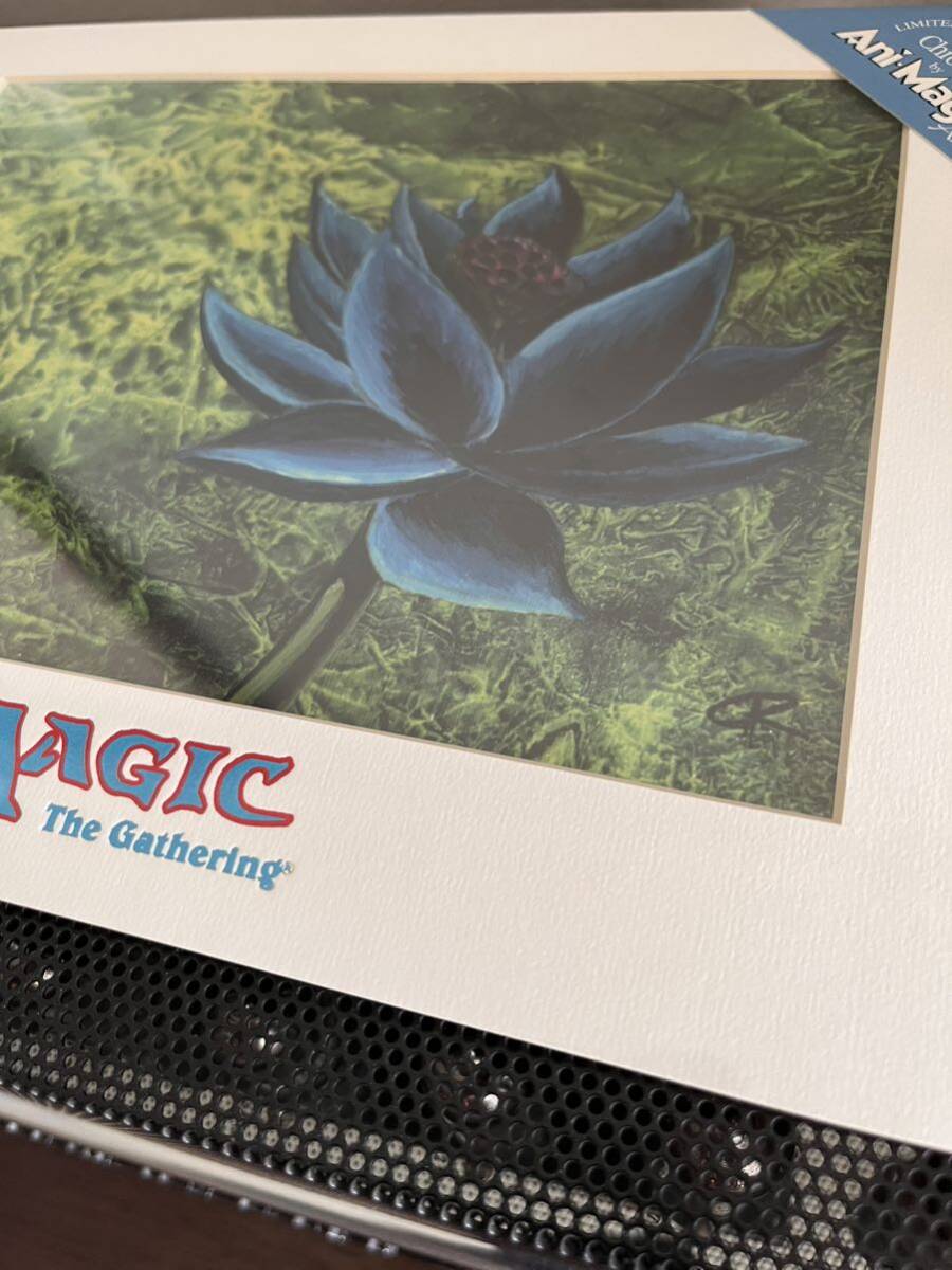 MTG アートプリント Black Lotus ブラックロータス 複製原画 未 MTG アートプリント Black Lotus ブラックロータス 複製原画 未