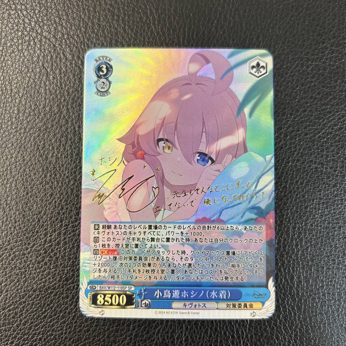 ブルーアーカイブ 9枚セット 早瀬ユウカ サイン入り AGCカード ブルーアーカイブ 9枚セット 早瀬ユウカ サイン入り AGCカード