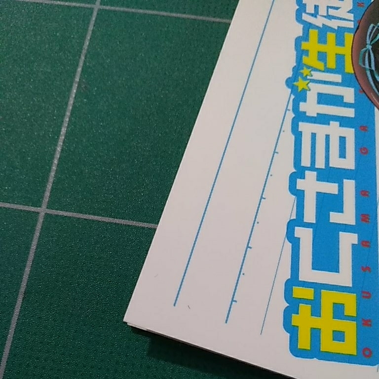 おくさまが生徒会長！ ７巻 特装版 特別付録小冊子 おくさまが生徒会書記！ 中田ゆみ 一迅社 中古美品_画像5