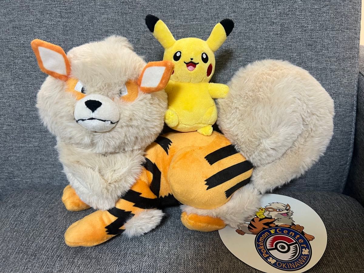 ウィンディ ピカチュウ 沖縄ポケモンセンター1周年記念品 店舗 ウィンディ ピカチュウ 沖縄ポケモンセンター1周年記念品 店舗