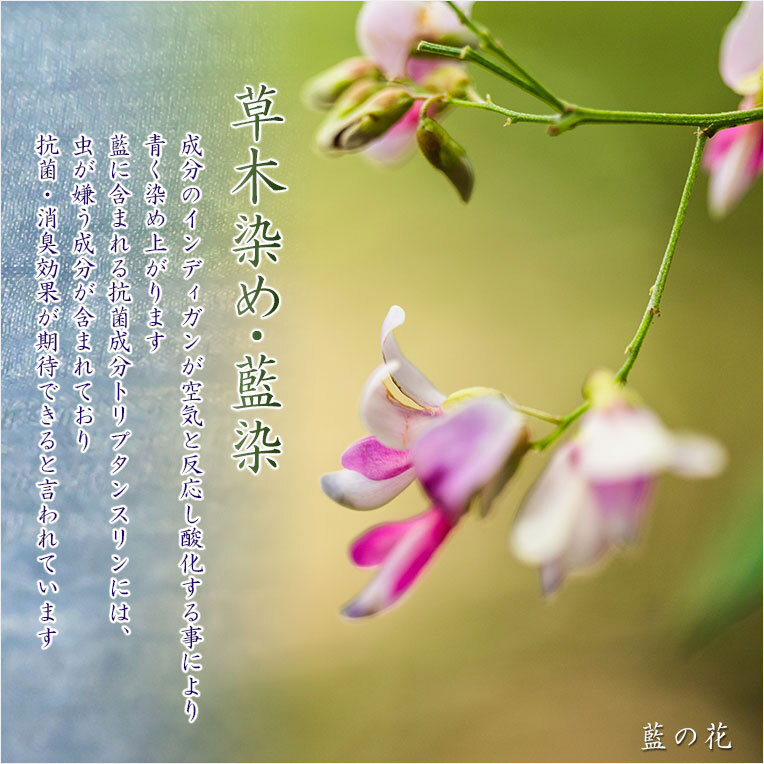 特選 お盆提灯【八女提灯:草木染め 本絹一重張り 天然木桜塗 特選 お盆提灯【八女提灯:草木染め 本絹一重張り 天然木桜塗
