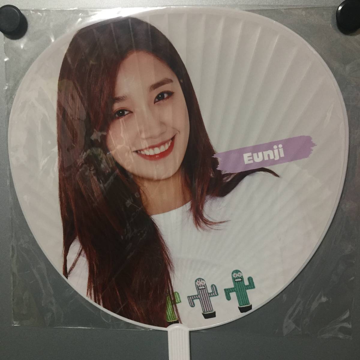 * new goods unopened * APINK [ 2nd LIVE TOUR 2016 ~ PINK SUMMER ~ ] "uchiwa" fan unji* Japan limitation Tour official goods pink summer 