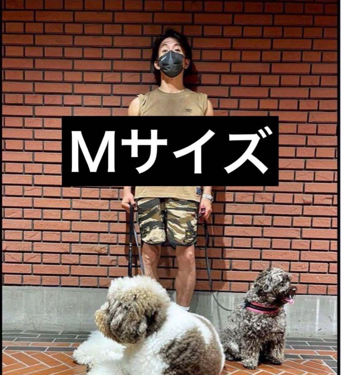 RATS】キムタク着用 同型同色 カモフラ イージー ショーツ M RATS】キムタク着用 同型同色 カモフラ イージー ショーツ M