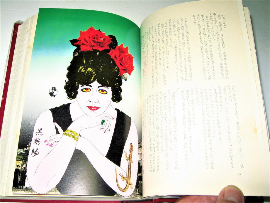 Yahoo!オークション - 【文学】江戸川乱歩全集 7 - 黒蜥蜴・1969 Yahoo!オークション - 【文学】江戸川乱歩全集 7 - 黒蜥蜴・1969
