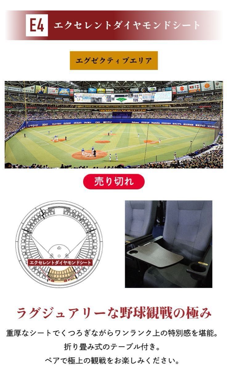 6/30(日)中日横浜戦 ペア エクセレントダイヤモンドシート 6/30(日)中日横浜戦 ペア エクセレントダイヤモンドシート
