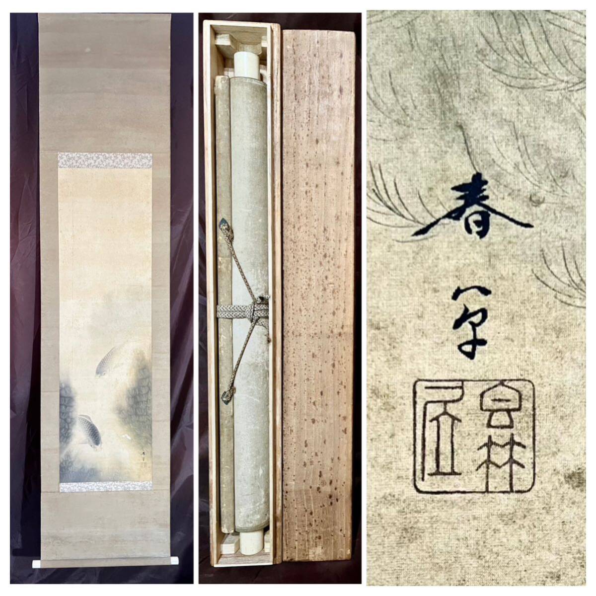 模写 S8 菱田春草 遊鯉 絹本 合箱 花鳥図 鳥獣 鯉図 絵画 掛軸 模写 S8 菱田春草 遊鯉 絹本 合箱 花鳥図 鳥獣 鯉図 絵画 掛軸