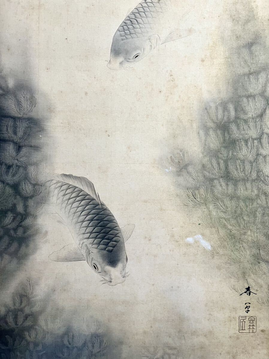 模写 S8 菱田春草 遊鯉 絹本 合箱 花鳥図 鳥獣 鯉図 絵画 掛軸 模写 S8 菱田春草 遊鯉 絹本 合箱 花鳥図 鳥獣 鯉図 絵画 掛軸