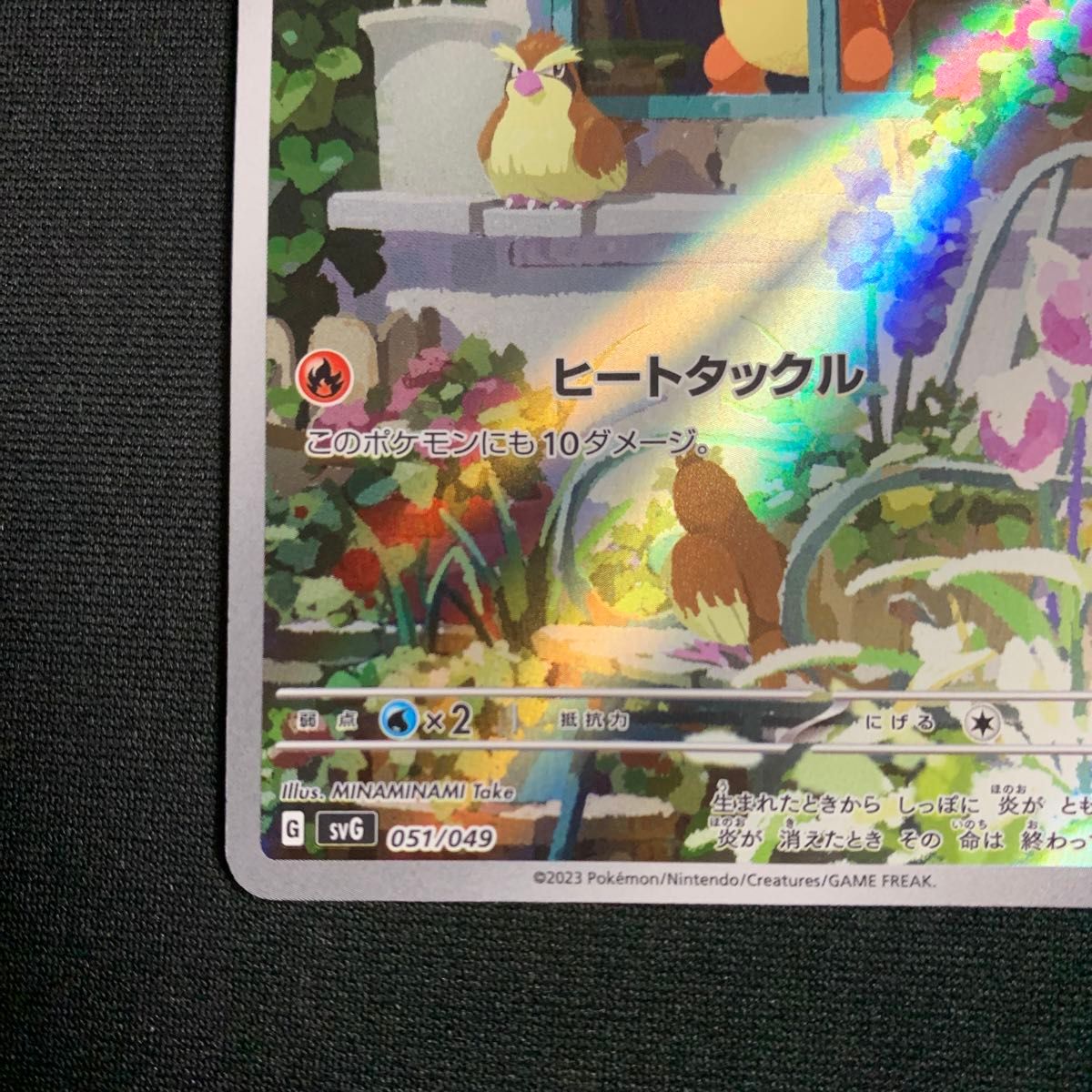 ヒトカゲ AR フルイラスト スペシャルデッキセットex ポケカ ヒトカゲ AR フルイラスト スペシャルデッキセットex ポケカ