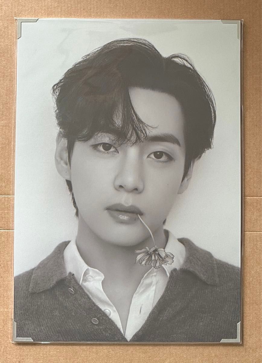 BTS V テテ MONOCHROME モノクローム ポップアップ ポストカード BTS V テテ MONOCHROME モノクローム ポップアップ ポストカード