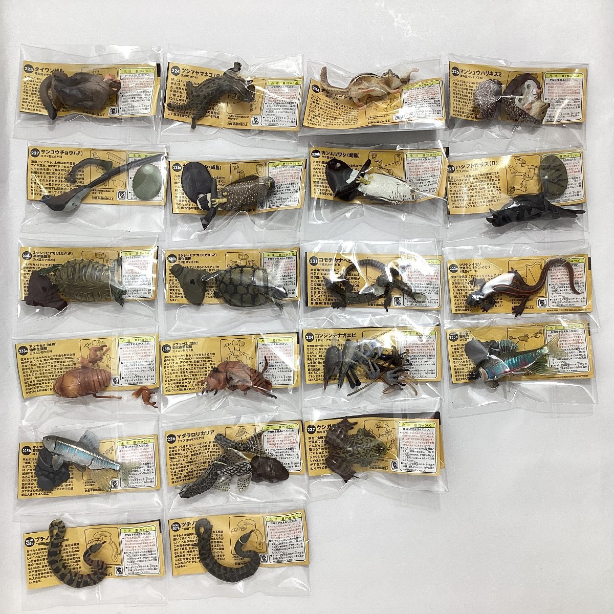 ※一部破損有　タカラ　チョコQ　アニマテイルズ　日本の動物 第10弾　21種 まとめて　シークレット含　コンジンテナガエビ　ツチノコ　等