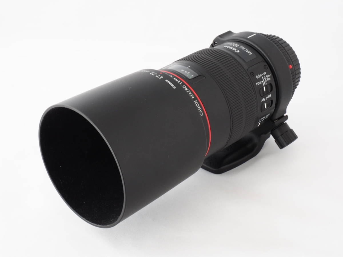 Canon 100mm 2.8 l macro is