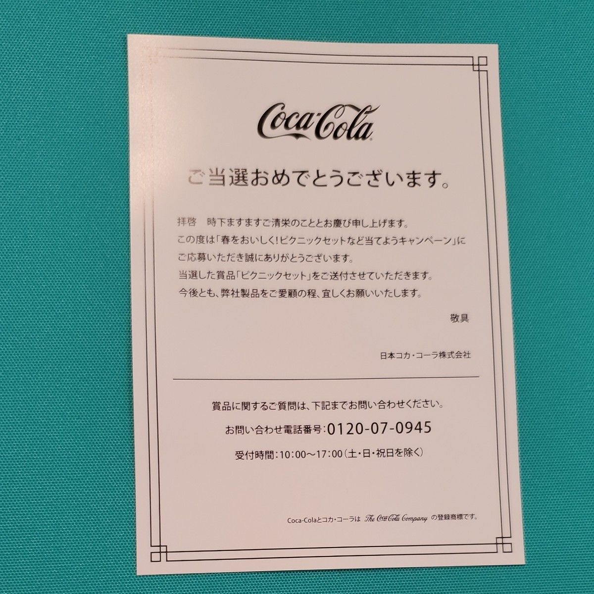 未開封 コカコーラ限定 ピクニックセット】ステンレスボトル 未開封 コカコーラ限定 ピクニックセット】ステンレスボトル