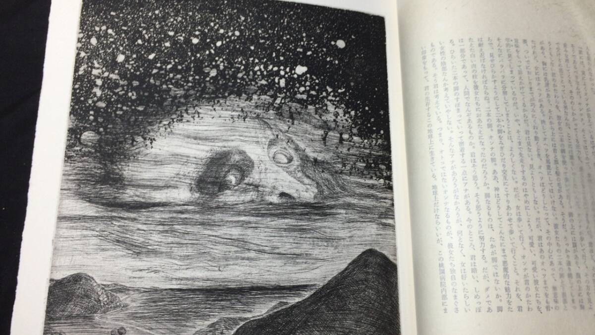 格安人気 特製愛蔵本】『富士』○武田泰淳著/司修装幀挿画○限定212のうち 武田泰淳
