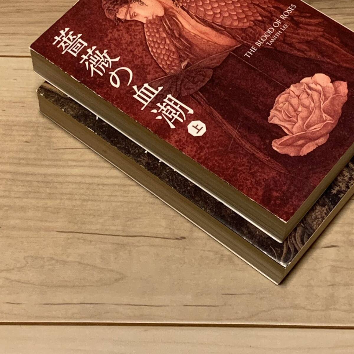 タニス・リー パラディスの秘録 全巻セット 創元推理文庫 角川ホラー文庫 タニス・リーパラディスの秘録全巻セット創元推理文庫角川ホラー文庫