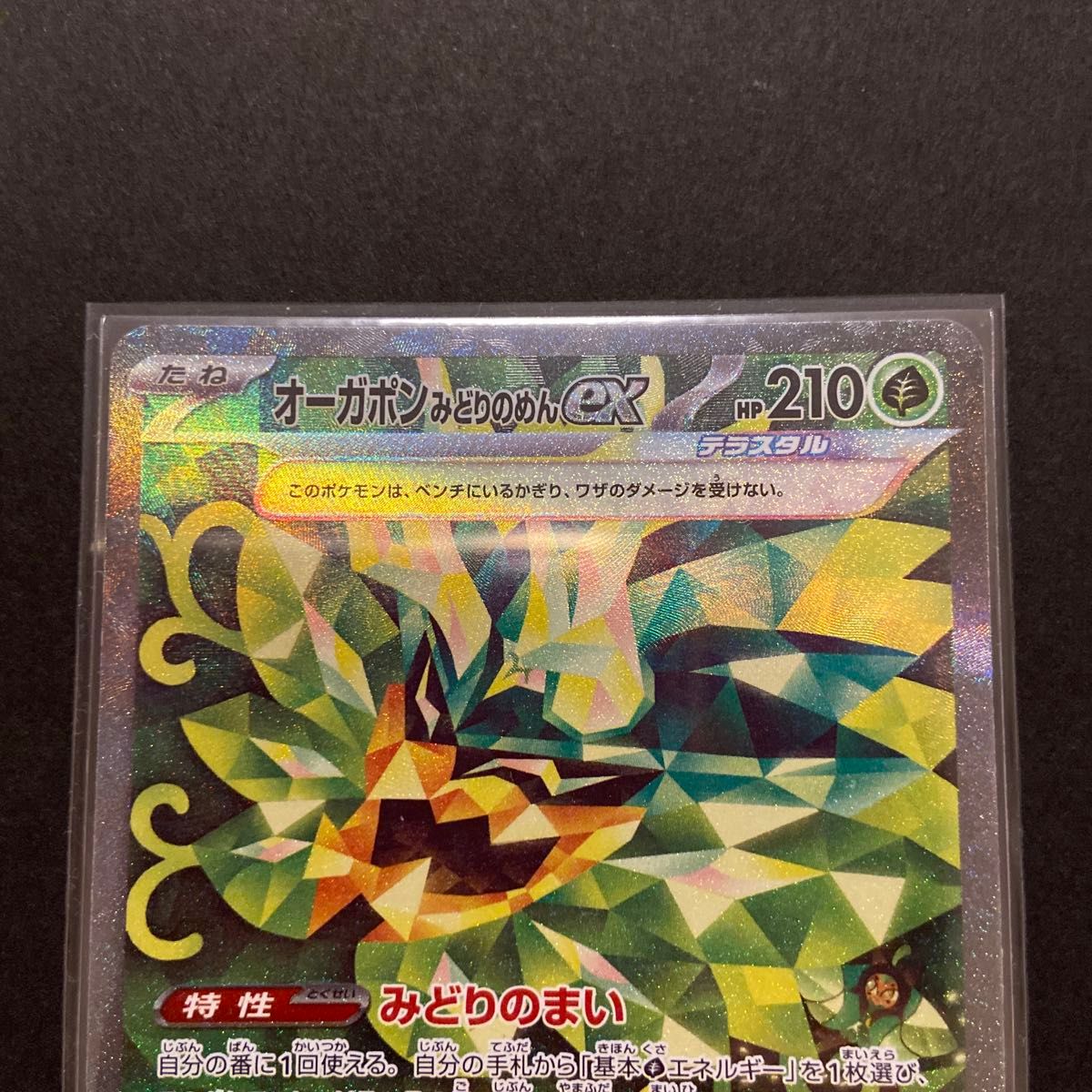 ポケモンカード オーガポンみどりのめんex SAR SRセット|Yahoo ポケモンカード オーガポンみどりのめんex SAR SRセット|Yahoo