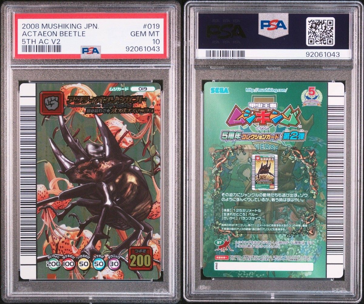甲虫王者ムシキング5周年 コレクションカード第2弾 アクティオン 甲虫王者ムシキング5周年 コレクションカード第2弾 アクティオン