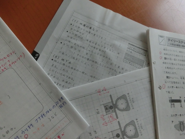 サピックス 理科 最強暗記教材 知識の整理&定着に最適 3学年分 動物 サピックス 理科 最強暗記教材 知識の整理&定着に最適 3学年分 動物