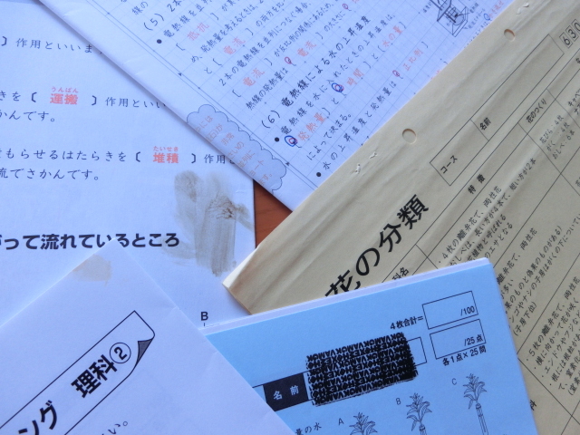 サピックス 理科 最強暗記教材 知識の整理&定着に最適 3学年分 動物 サピックス 理科 最強暗記教材 知識の整理&定着に最適 3学年分 動物