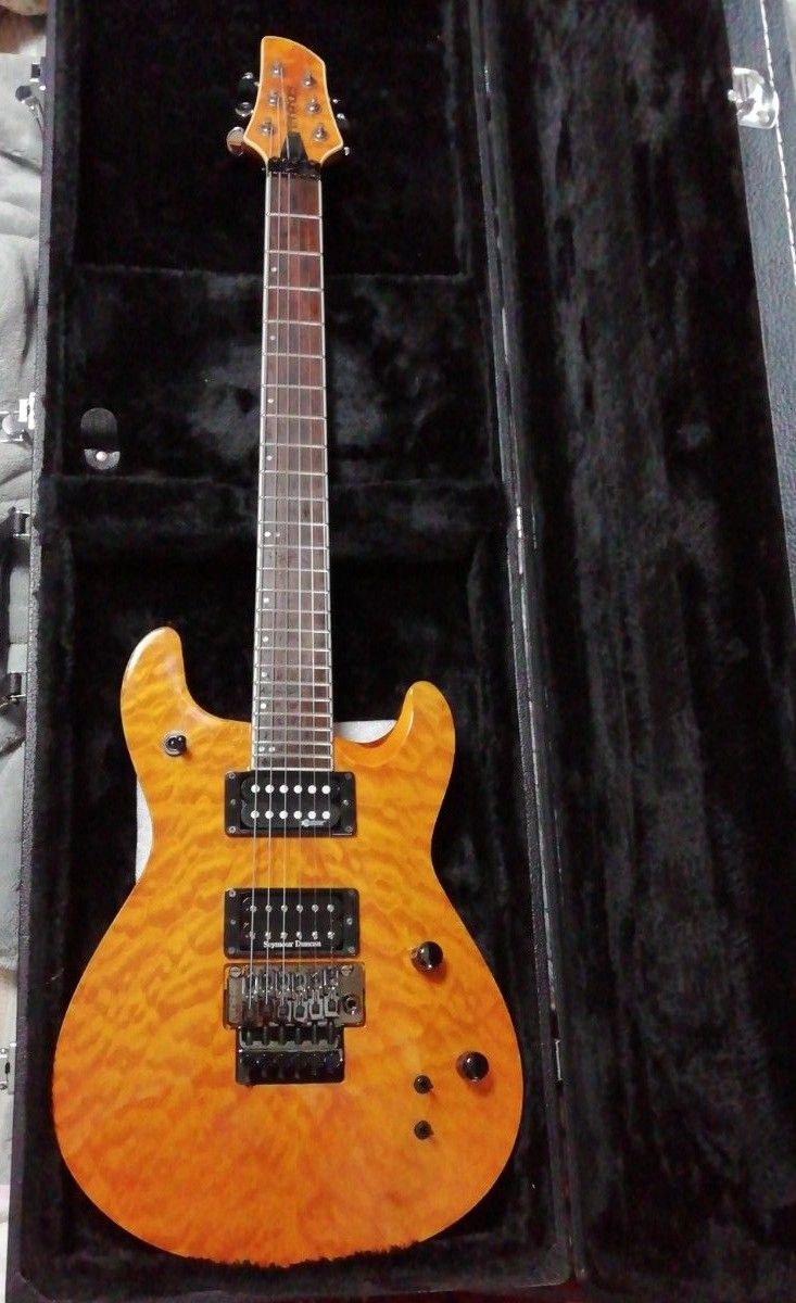 FERNANDES APG-85S TGL ハードケース付|Yahoo!フリマ(旧PayPay FERNANDES APG-85S TGL ハードケース付|Yahoo!フリマ(旧PayPay