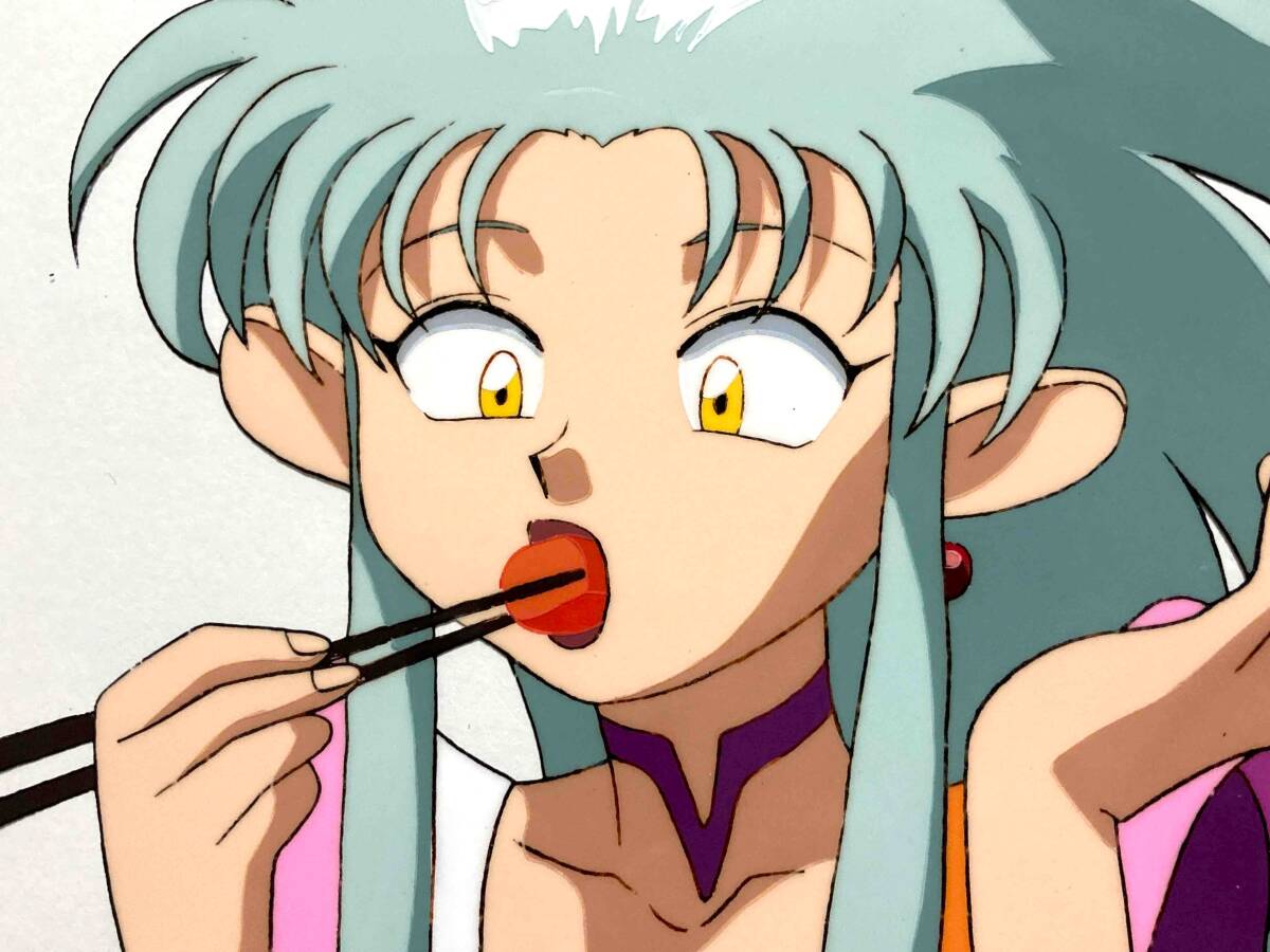 ドラゴンボール セル画 16 ♯ 原画 動画 イラスト 設定資料 ドラゴンボール セル画 16 ♯ 原画 動画 イラスト 設定資料