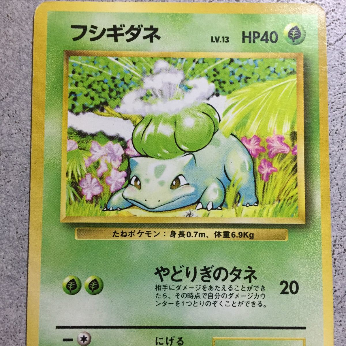 ヤフオク ポケモンカード フシギダネ