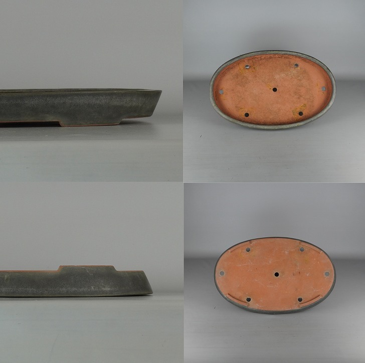 中古】盆栽鉢 常滑 黎鳳造 大型 長辺 約54.5cm 楕円鉢 釉薬 現品 中古】盆栽鉢 常滑 黎鳳造 大型 長辺 約54.5cm 楕円鉢 釉薬 現品
