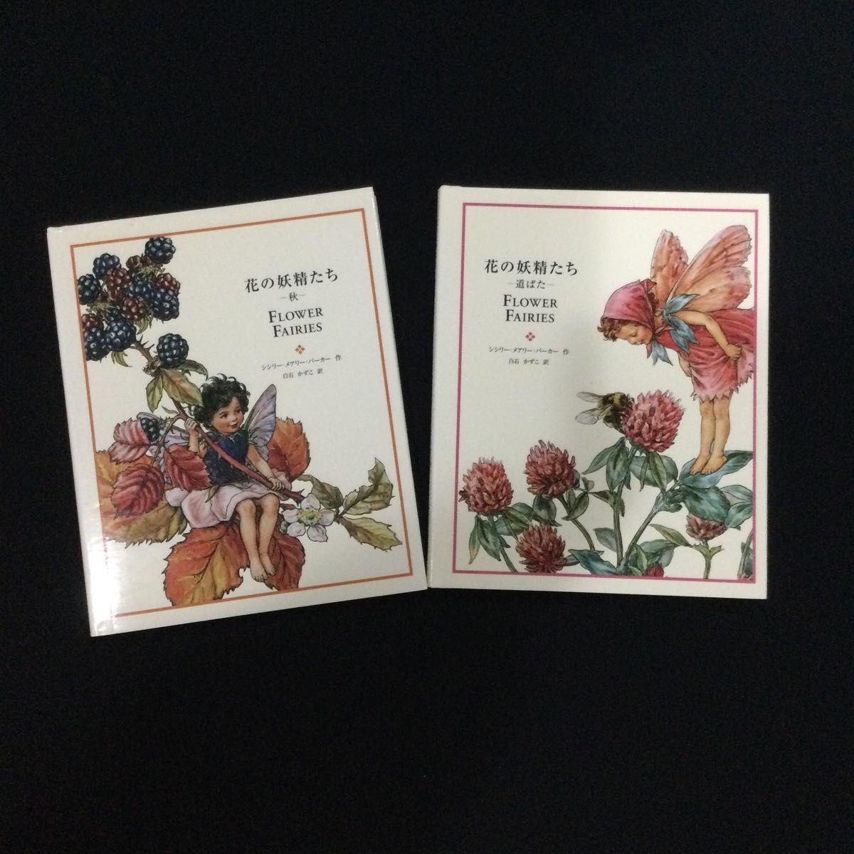 一冊だけ 道ばた フラワーフェアリーズ 花の妖精たち シシリー 一冊だけ 道ばた フラワーフェアリーズ 花の妖精たち シシリー