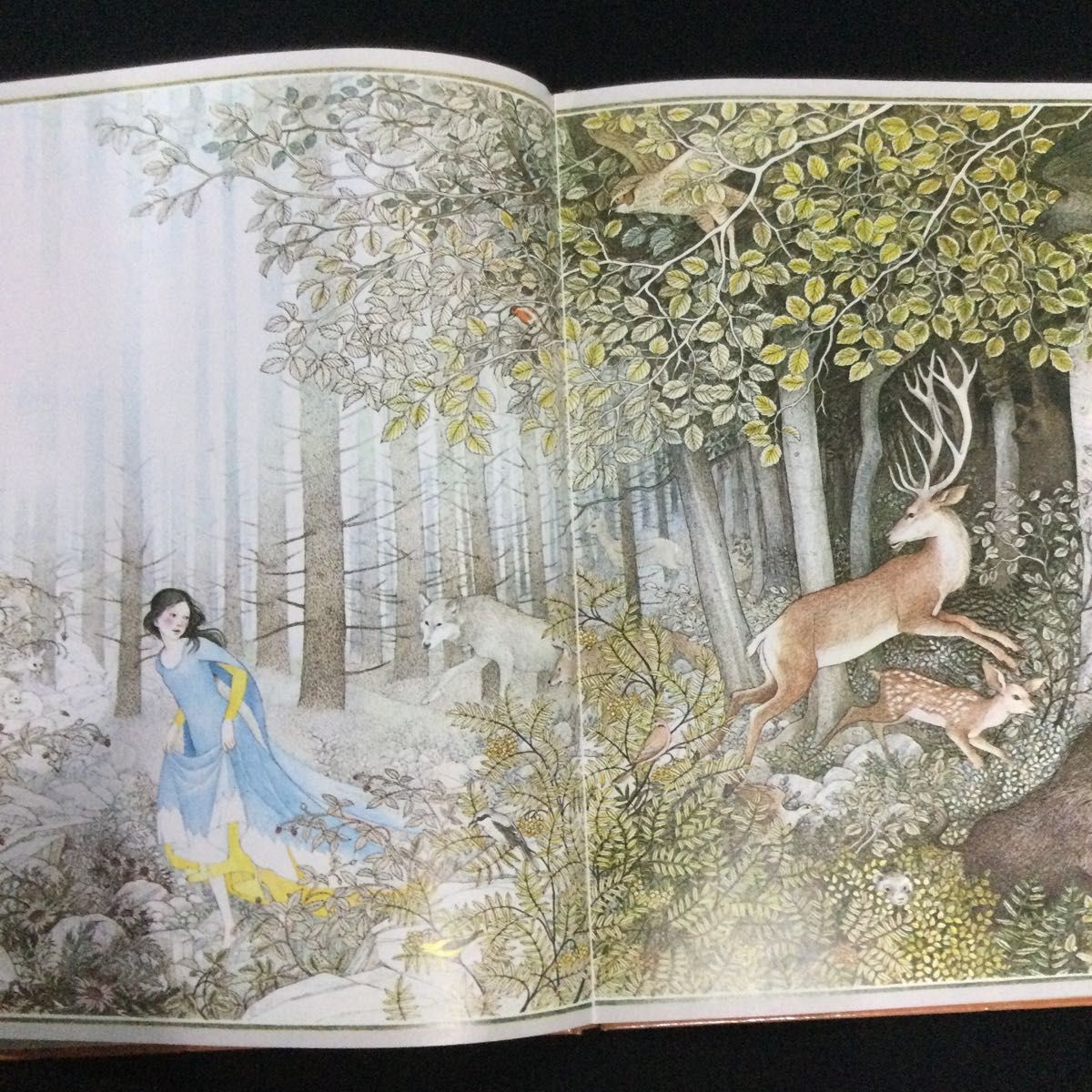 白雪姫と七人の小人たち ナンシーエコームバーカート グリム童話 白雪姫と七人の小人たち ナンシーエコームバーカート グリム童話