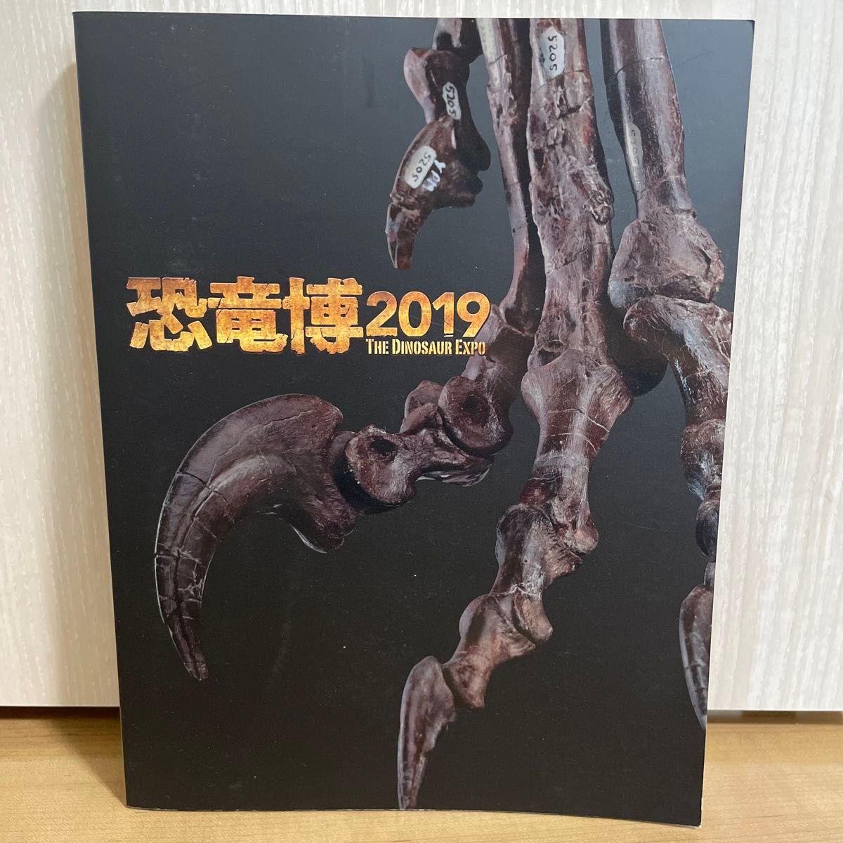 恐竜博 2019 THE DINOSAUR EXPO 国立科学博物館 展覧会図録 