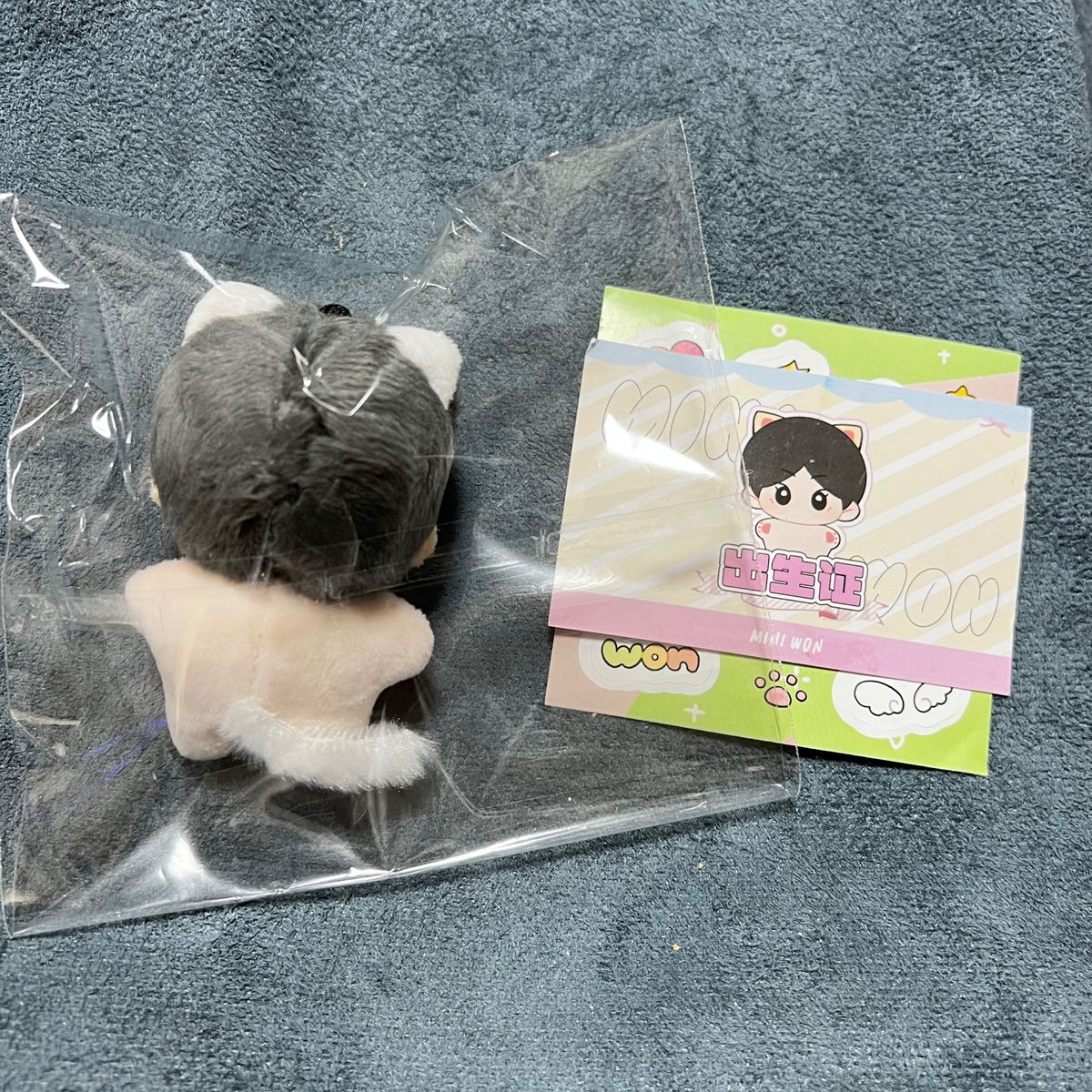 ジョンウォン ぬいぐるみ 5cm 新品 マスター｜Yahoo!フリマ（旧